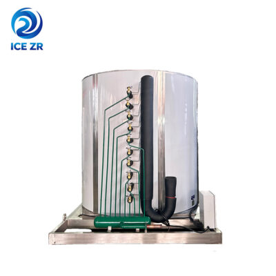 Ice evaporator
